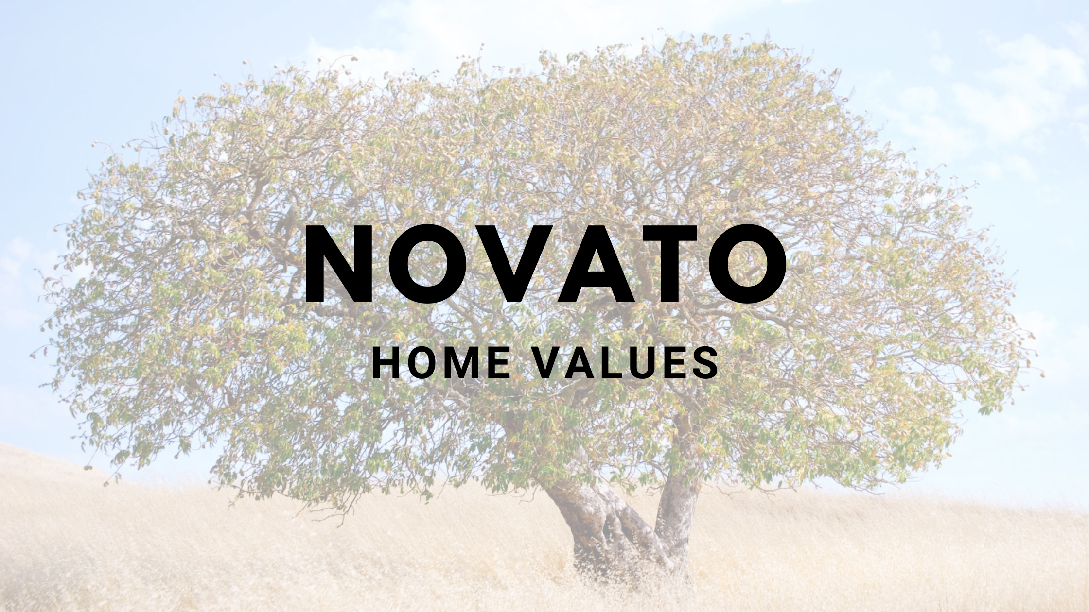 Novato Home Values Cover Photo