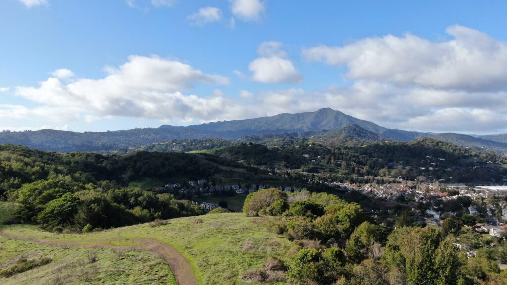 Mount Tamalpais