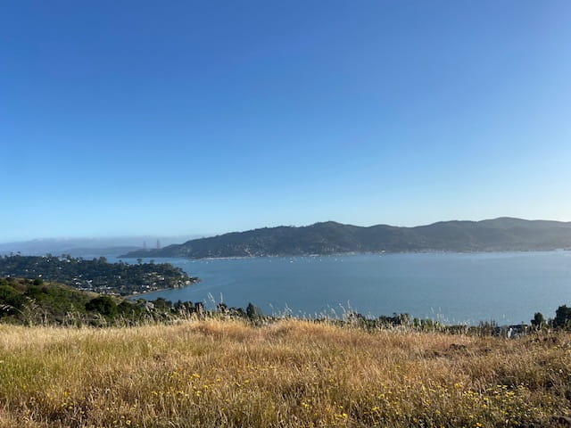Date of death appraisal Tiburon